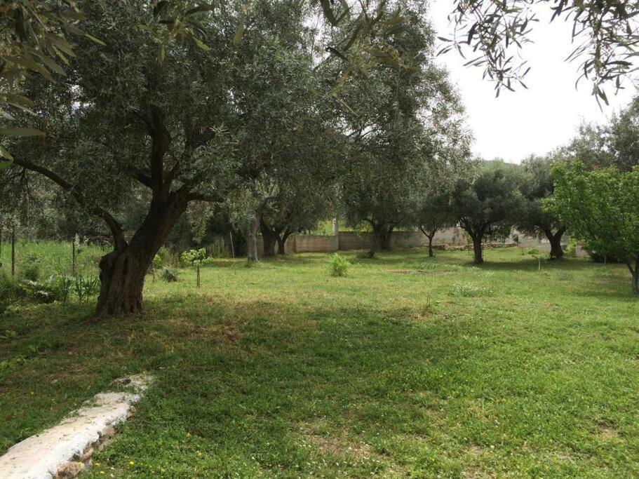 Panoramic View Summerhouse Loukissia Exterior foto